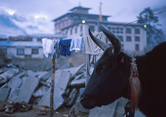 Laundry over Mani Stones at Thyangboche Monestary Nepal