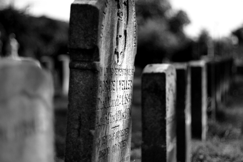Long Since Past*
