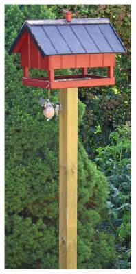 Birds in ball