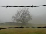 #7<br> forbidden *