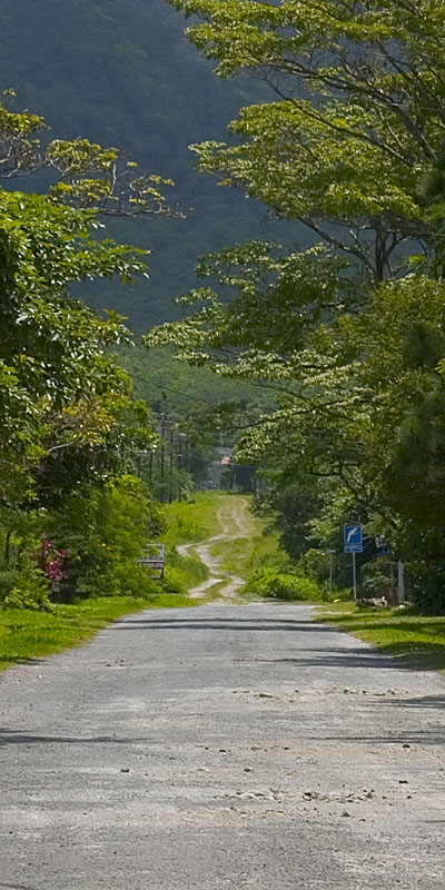 Path to the Mountain on a sunny day *