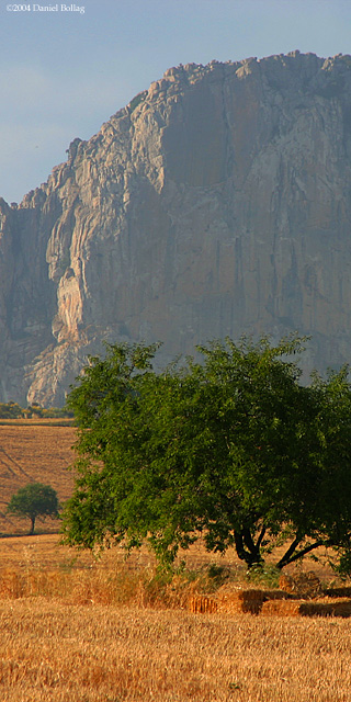 Landscape*