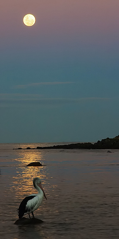 Full Moon *