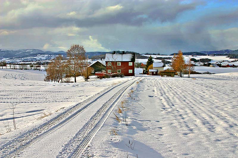 2. Fresh snow *