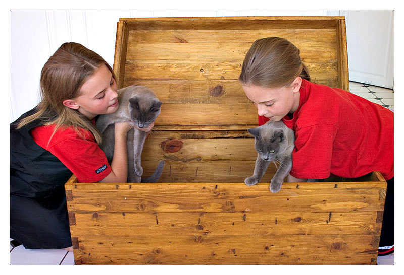 Puttin pussy in a box (*)<br>3rd Place