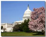 US Capitol