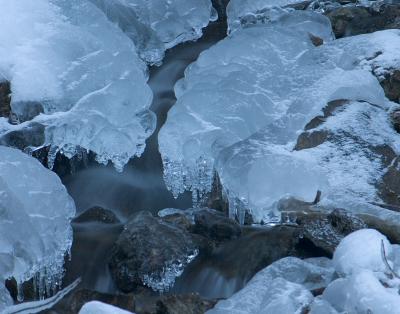 winter fall 11x14 crop.jpg