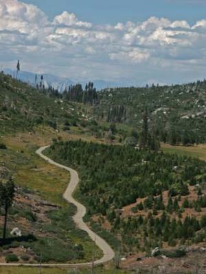 Along the Route Home - Portuguese Pass Road