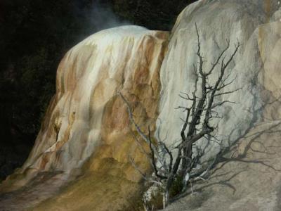Another View, Mammoth Hot Springs