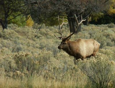 u48/davewyman/medium/37110727.PICT0063.jpg