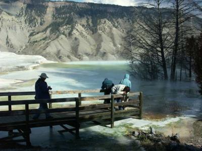 Canary Springs, Yellowstone
