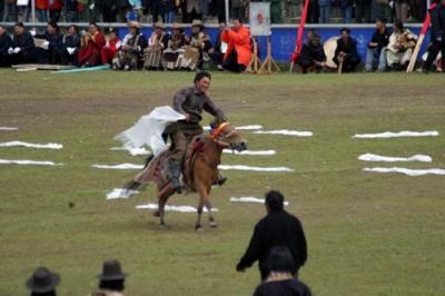 Horse Racing Festival
