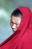 Face of Tibet