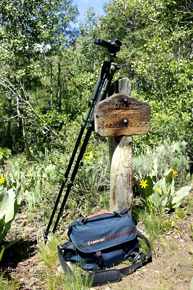 Lundy Canyon Trails