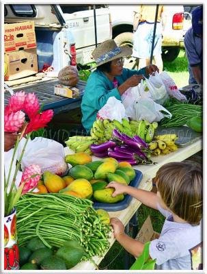 Kilauea Weekly Organic Market