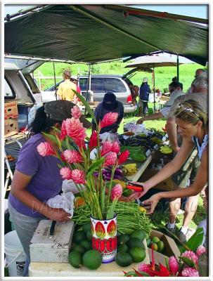Kilauea Weekly Organic Market