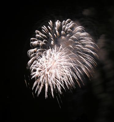 u48/deedee_g/medium/30945715.FireworksIMG_6739Resized.jpg
