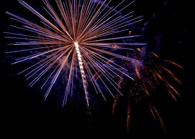 u48/deedee_g/medium/30945884.FireworksCRW_6584Resized.jpg