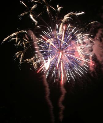 u48/deedee_g/medium/30946374.FireworksIMG_6671Cropped.jpg