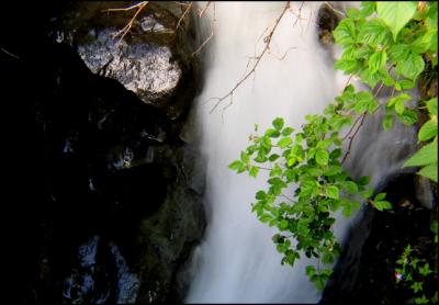 Another one by the creek