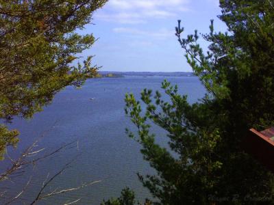 The Illinois River.jpg