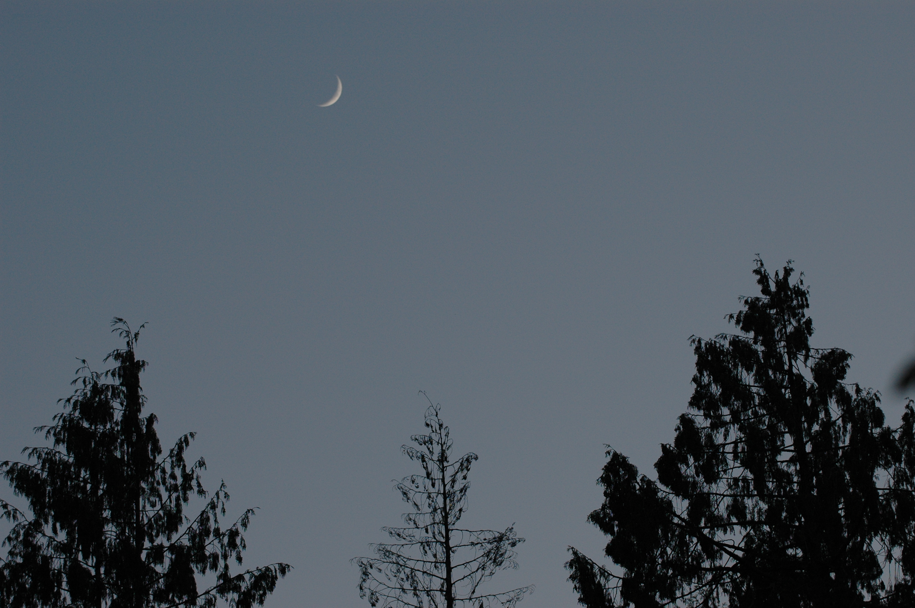 DSC_0143.JPG