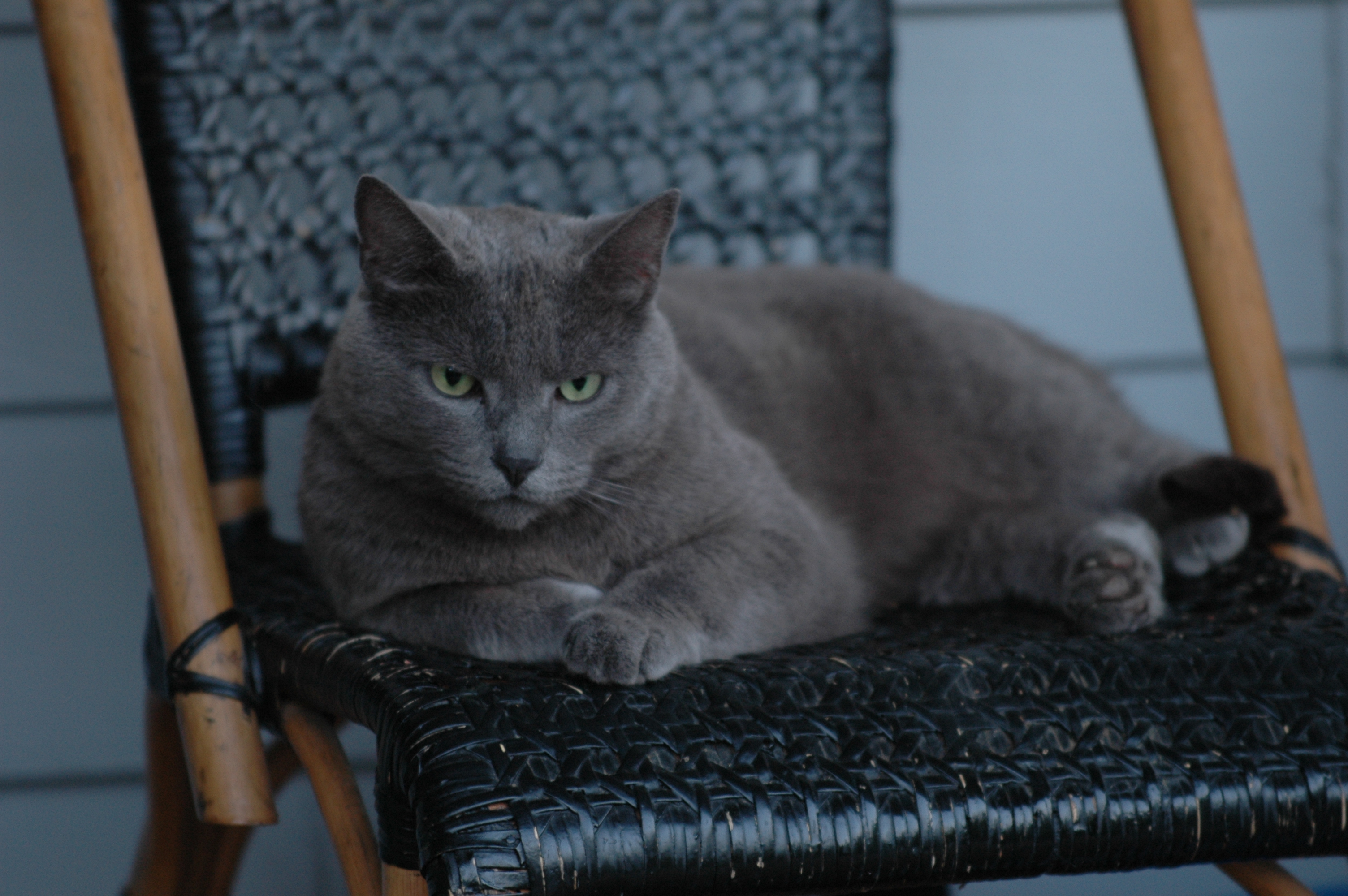 DSC_0154.JPG