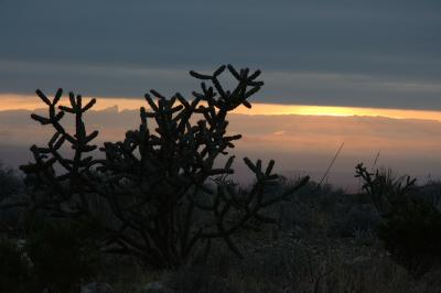 BBNP048.jpg