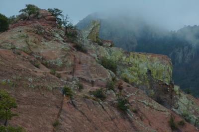 BBNP054.jpg