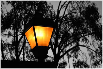 u48/digitalgee/medium/37358910.Lamp.jpg