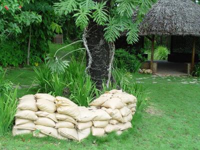 Sand Bags in the Garden
