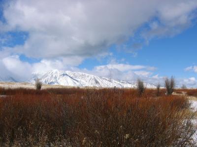 Grand Teton