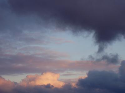 u48/dkite/medium/40100010.P2230008.jpg