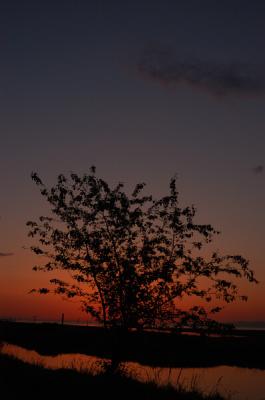 DSC_4298.jpg