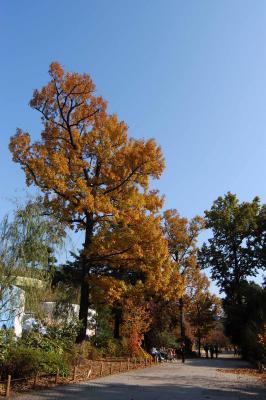 DSC_5230.jpg