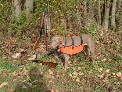 2004_1017Image0073.JPG