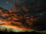 DSCN3462.JPG 18/22/37/54