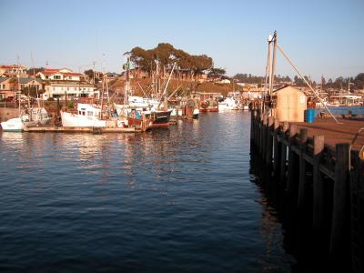 Morro Bay harbor