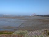 View from Elfin Forest in Morro Bay