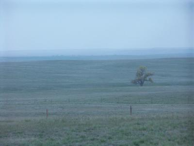 Cold, windy plains
