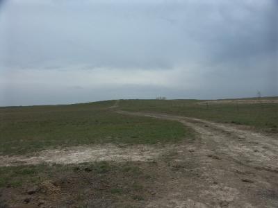Road to anywhere