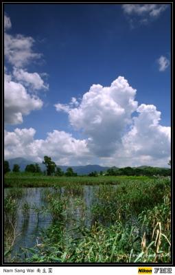 Nam Sang Wai - 南生圍