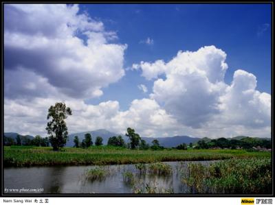 Nam Sang Wai - 南生圍