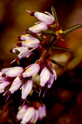 2/23/05 - Heather Macro