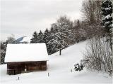 Winterimpression II
