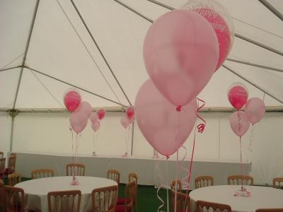 u48/eileen04/medium/37103480.WillingtonMalpas011.jpg
