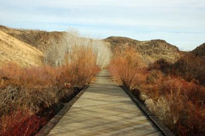 Looking East from Bridge Eleven