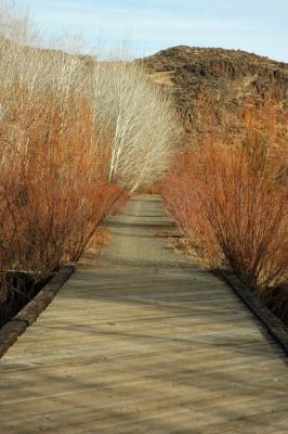 Crossing Bridge Eleven