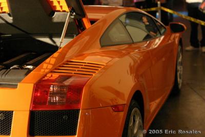 Hot Import Nights Models and Cars 2005 (HIN)