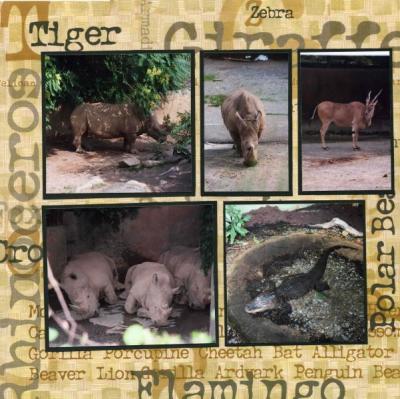 Knoxville Zoo  (page 2 of 6)